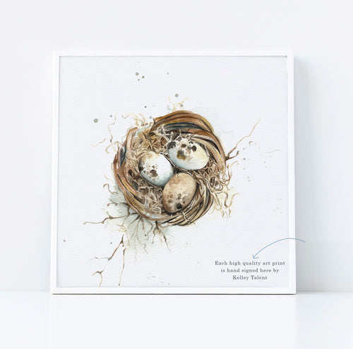 Bird Nest with Speckled Eggs Fine Art Print